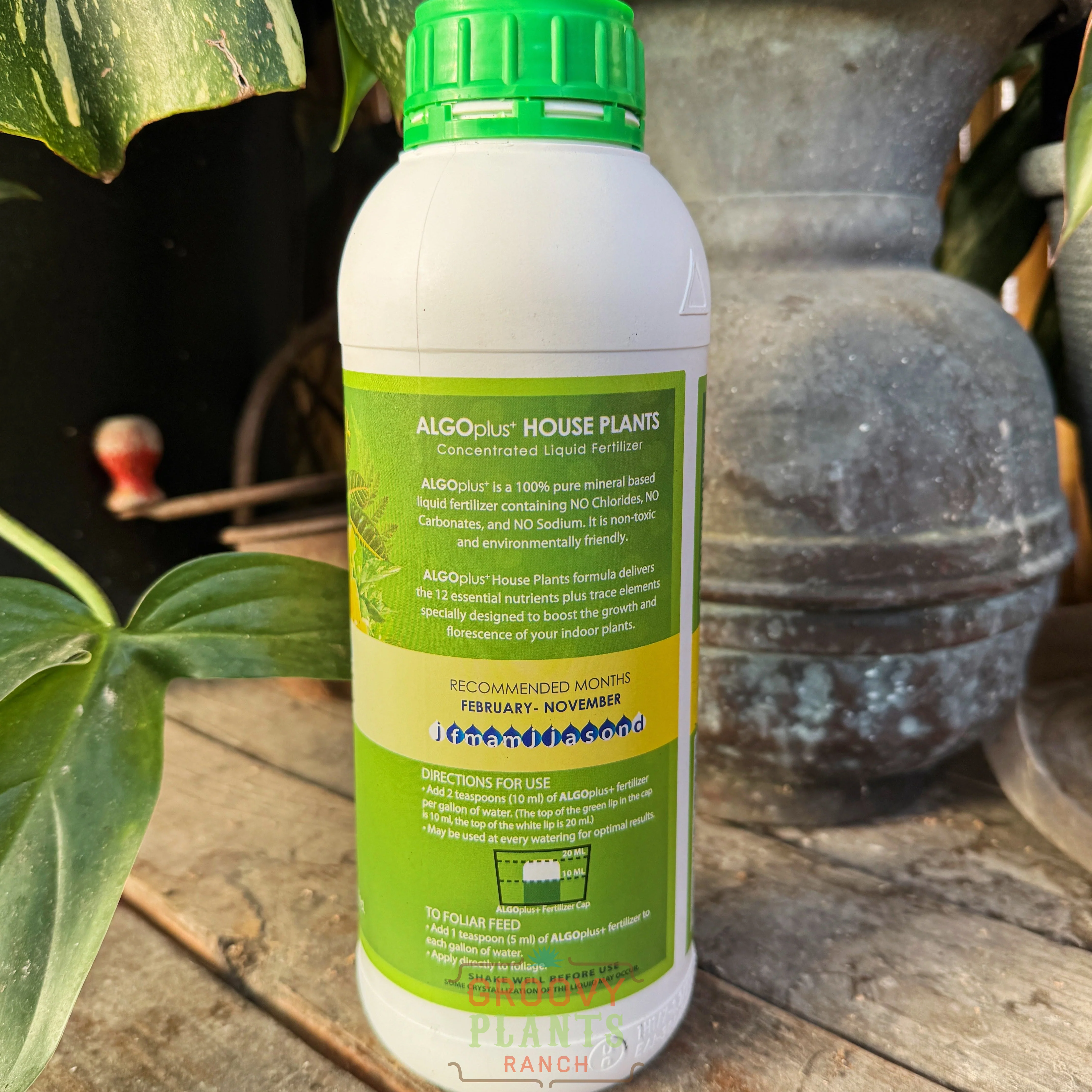 Houseplant Fertilizer - Image 2