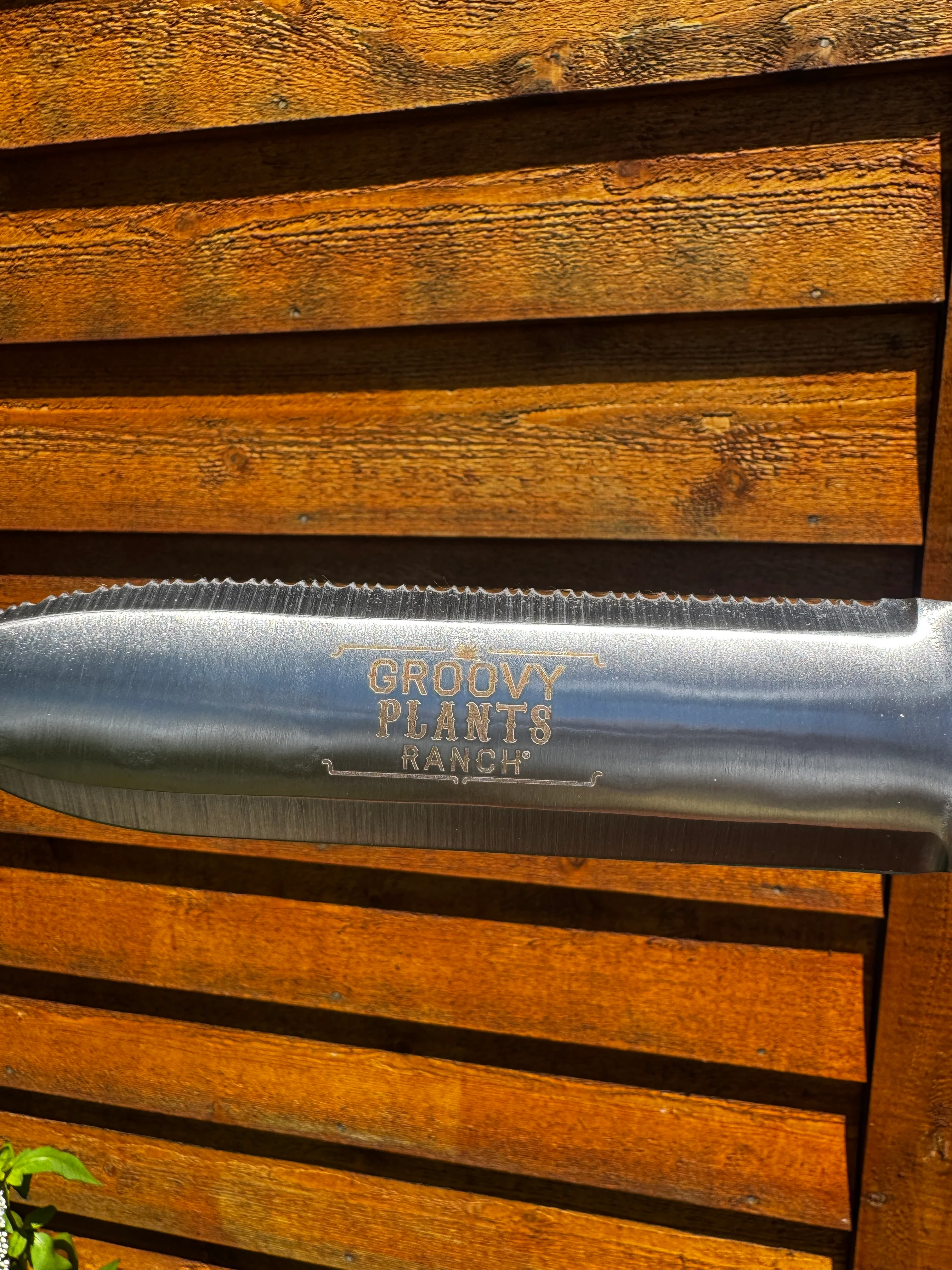 GPR Hori Hori Gardening Knife - Image 3