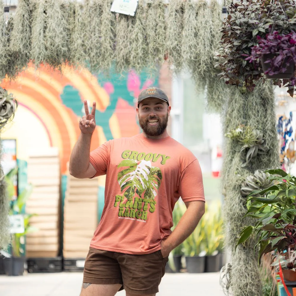 Groovy T-Shirt | Monstera- Pink - Image 6