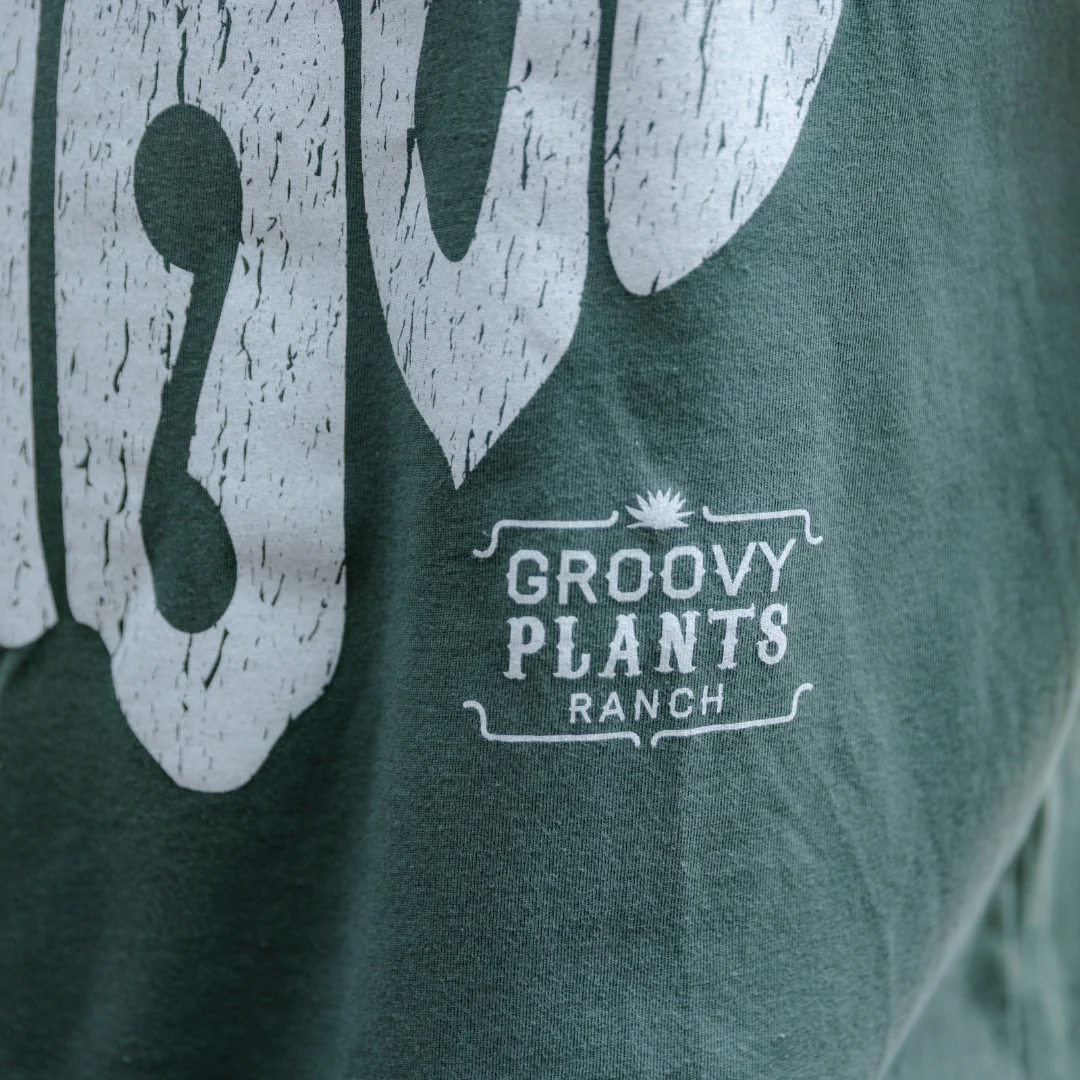 Groovy T-Shirt | Ohio - Image 3