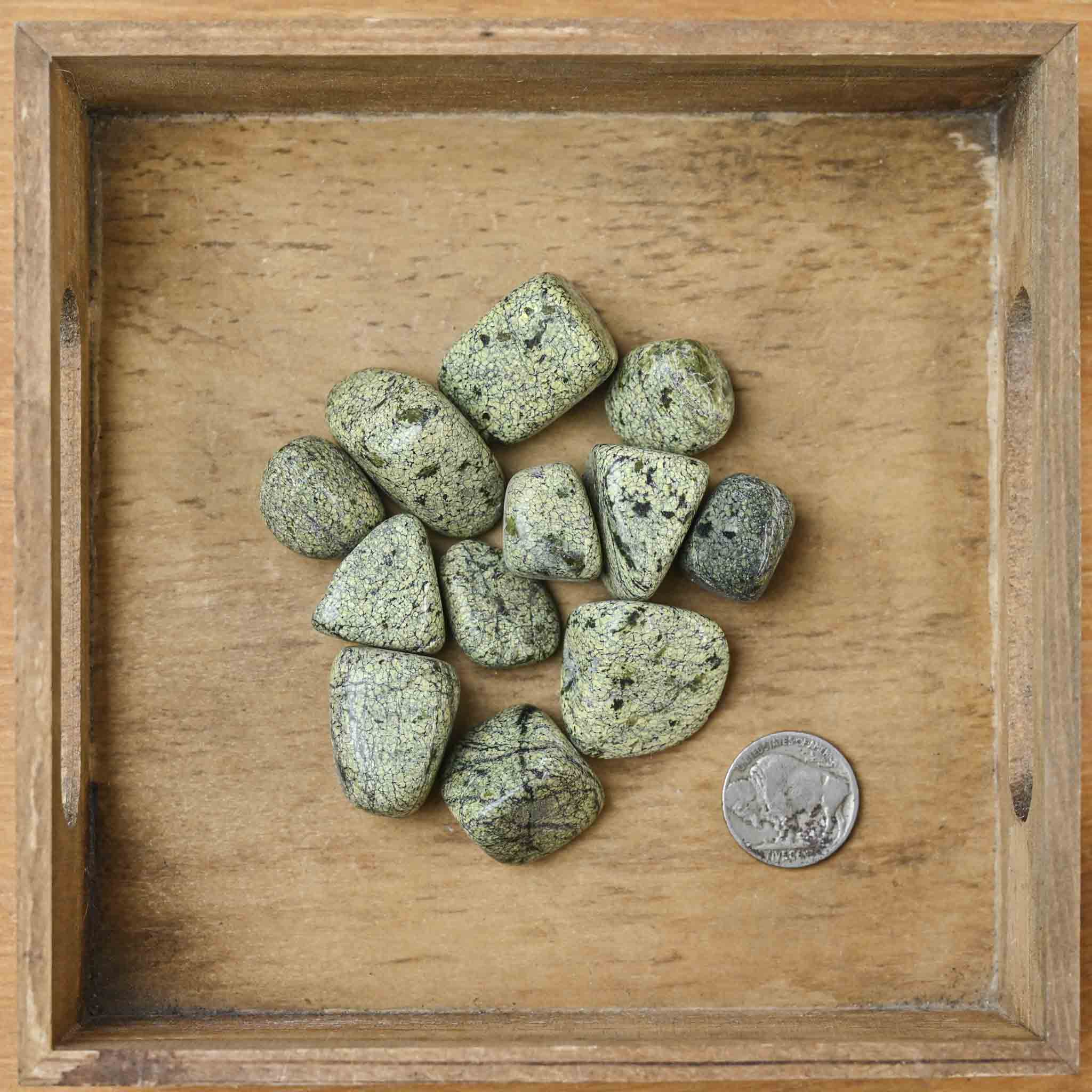 Tumbled Asterite (1 Stone)