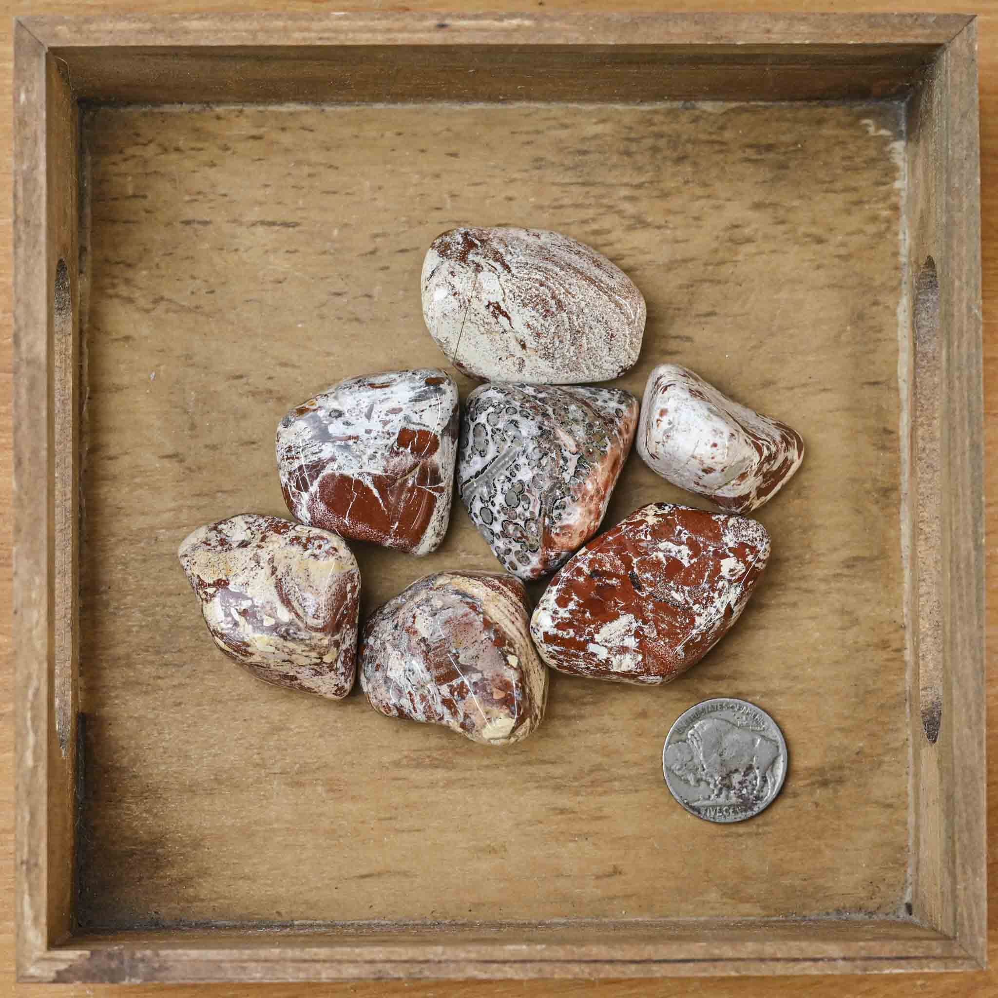 Tumbled Brecciated Jasper (1 Stone)