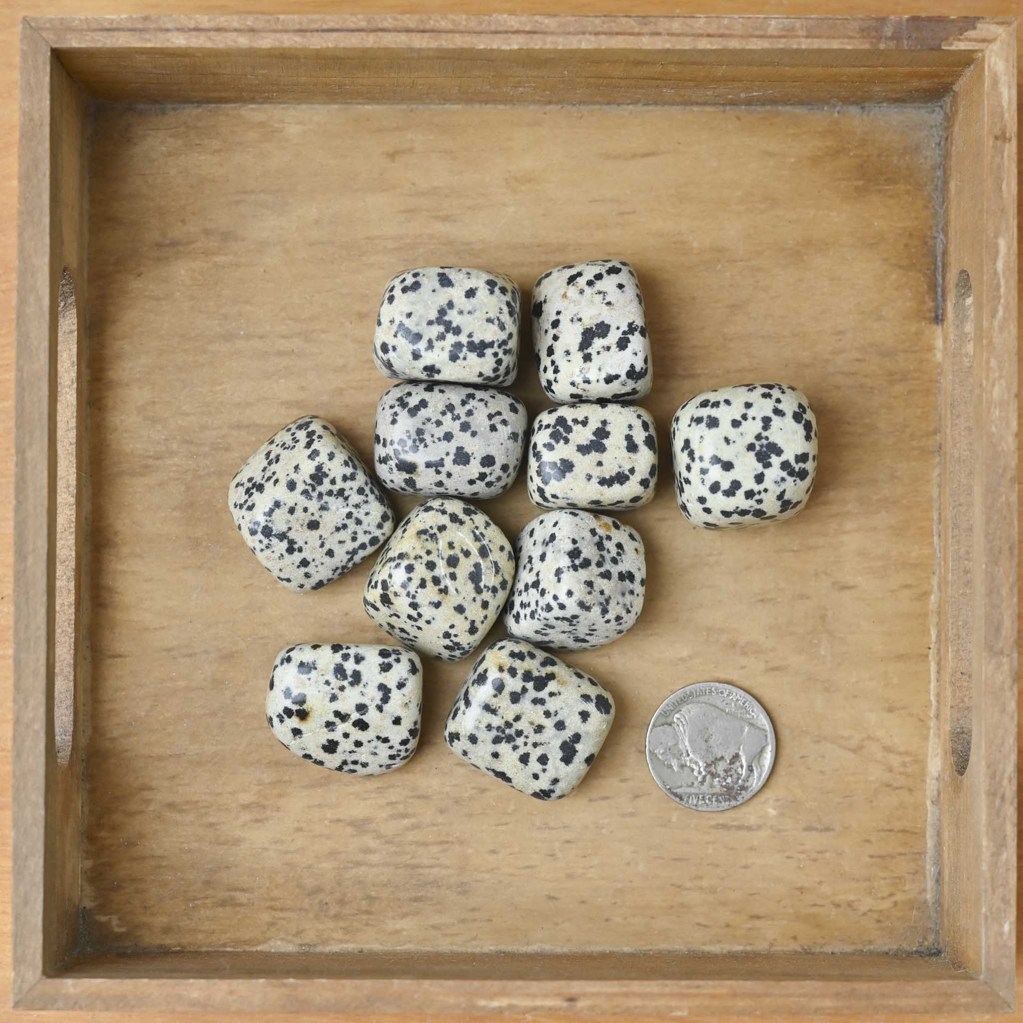 Tumbled Dalmatian Jasper (1 Stone)