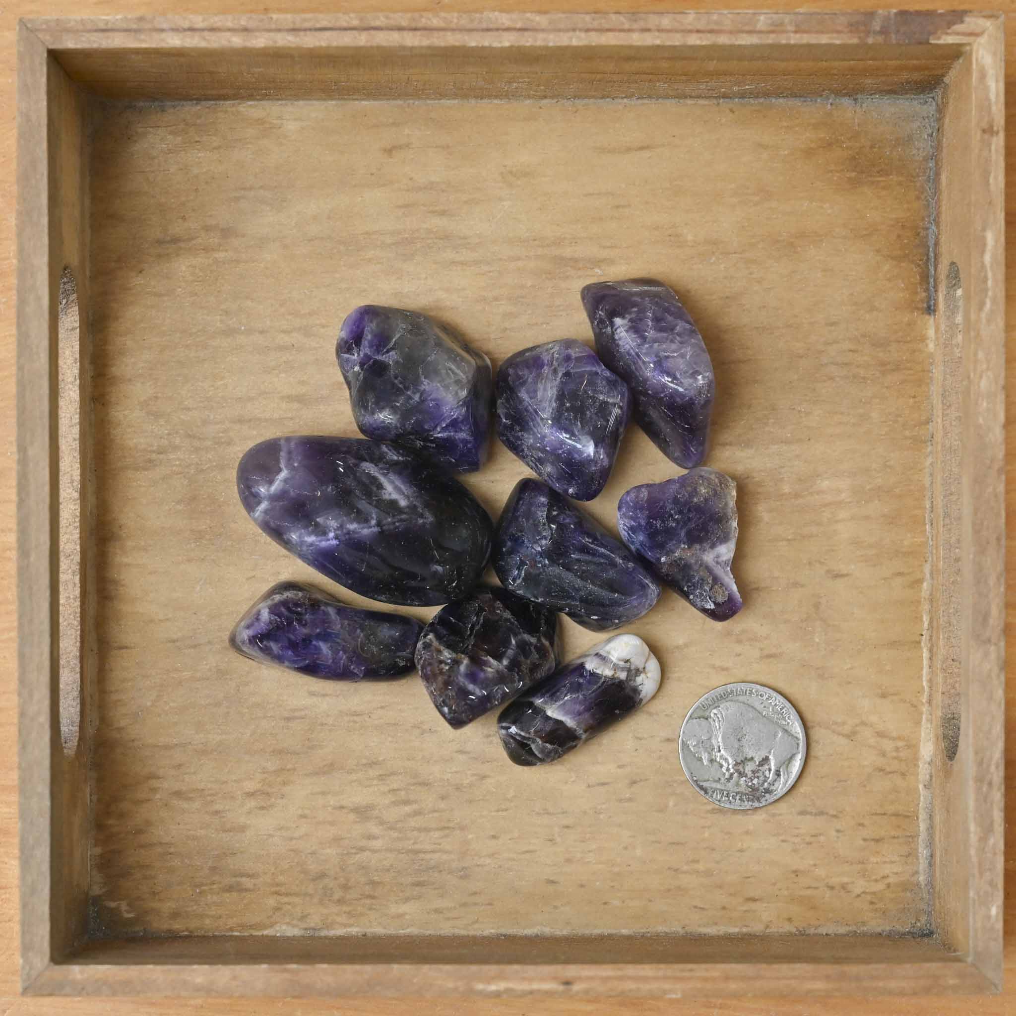 Tumbled Dogtooth Amethyst (1 Stone)