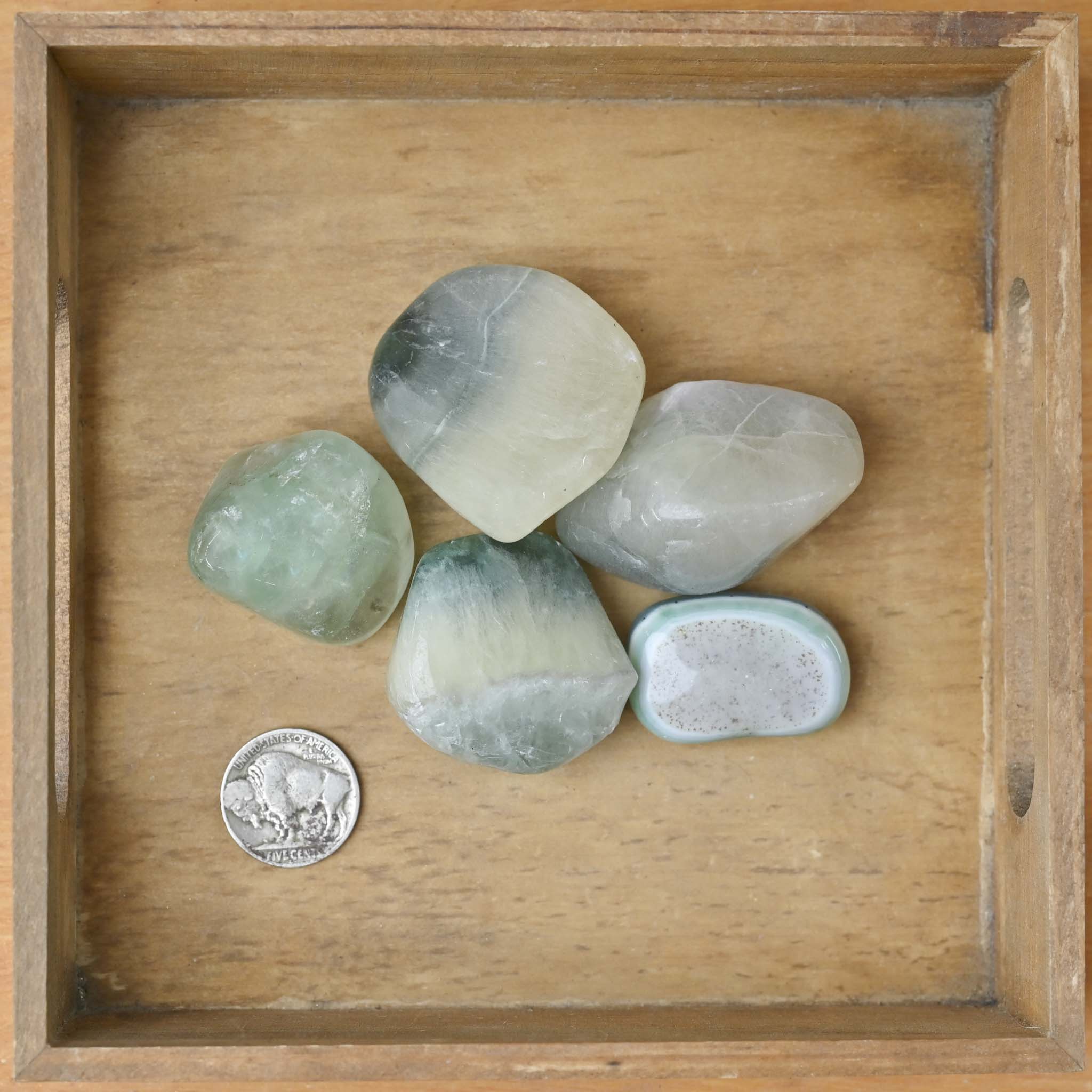 Tumbled Fluorite (1 Stone)
