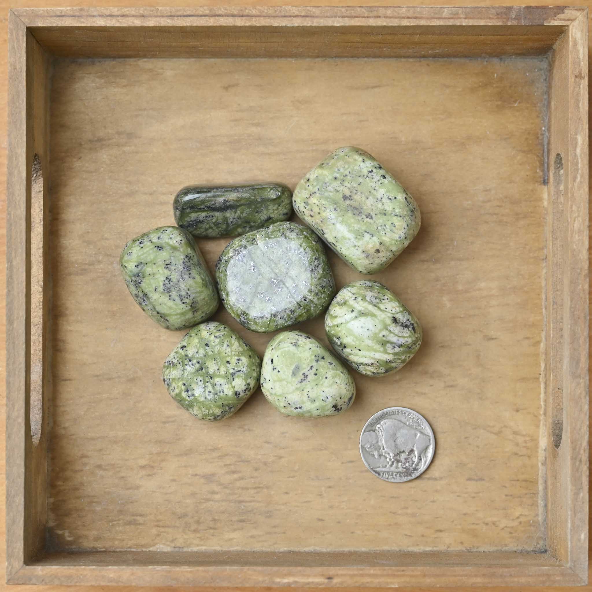 Tumbled Jungle Jade (1 Stone)