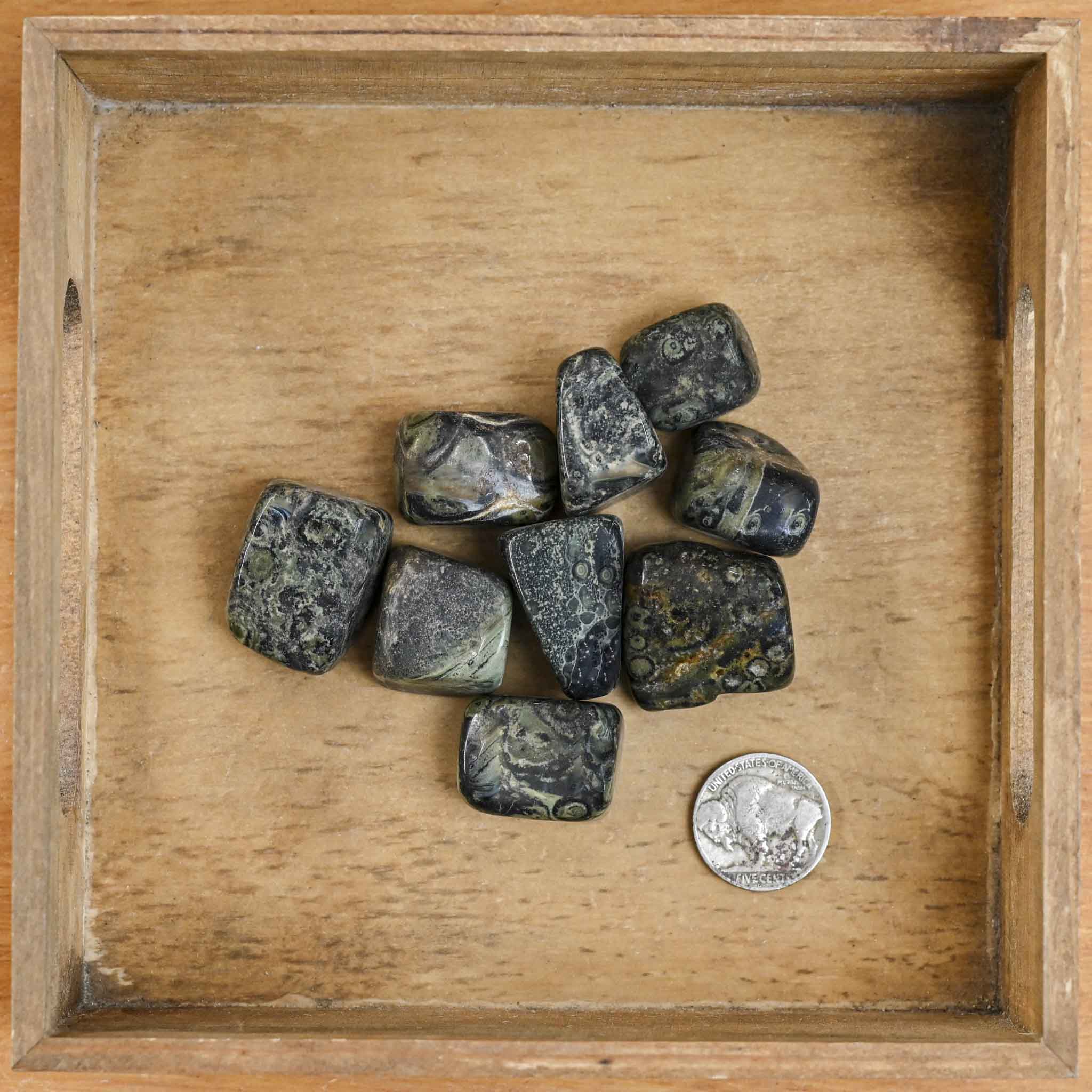 Tumbled Kambaba Jasper (1 Stone)