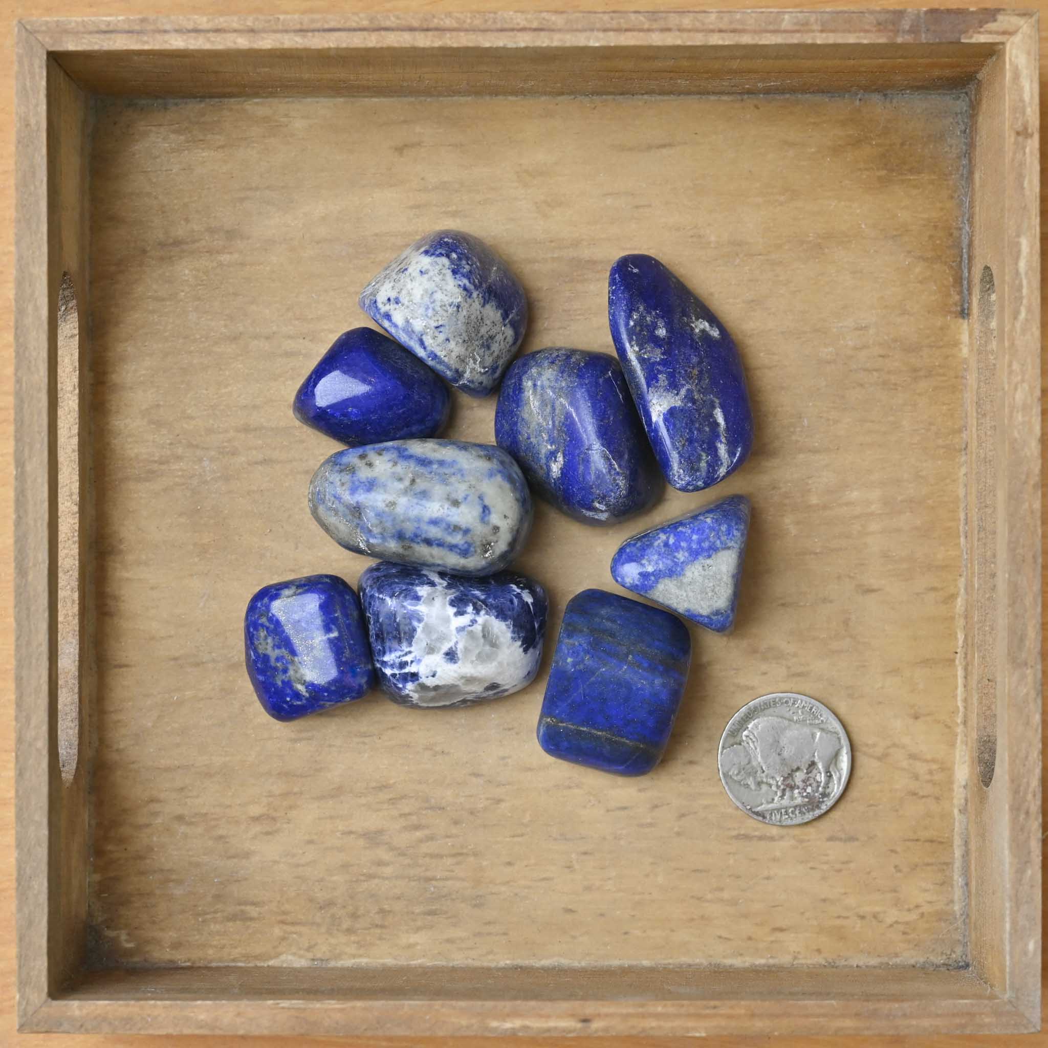 Tumbled Lapis (1 Stone)