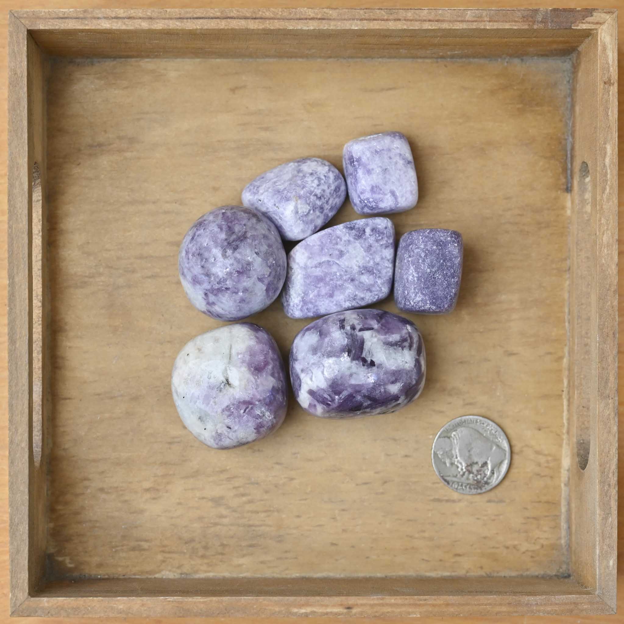 Tumbled Lepidolite (1 Stone)