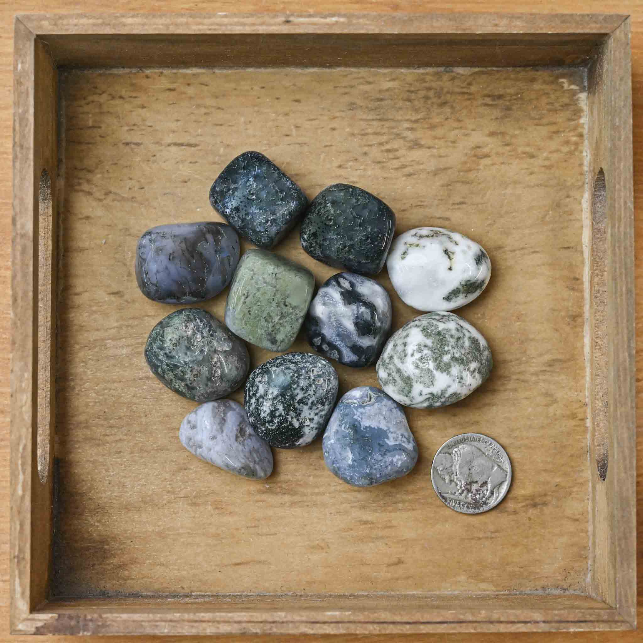 Tumbled Moss Agate (1 Stone)