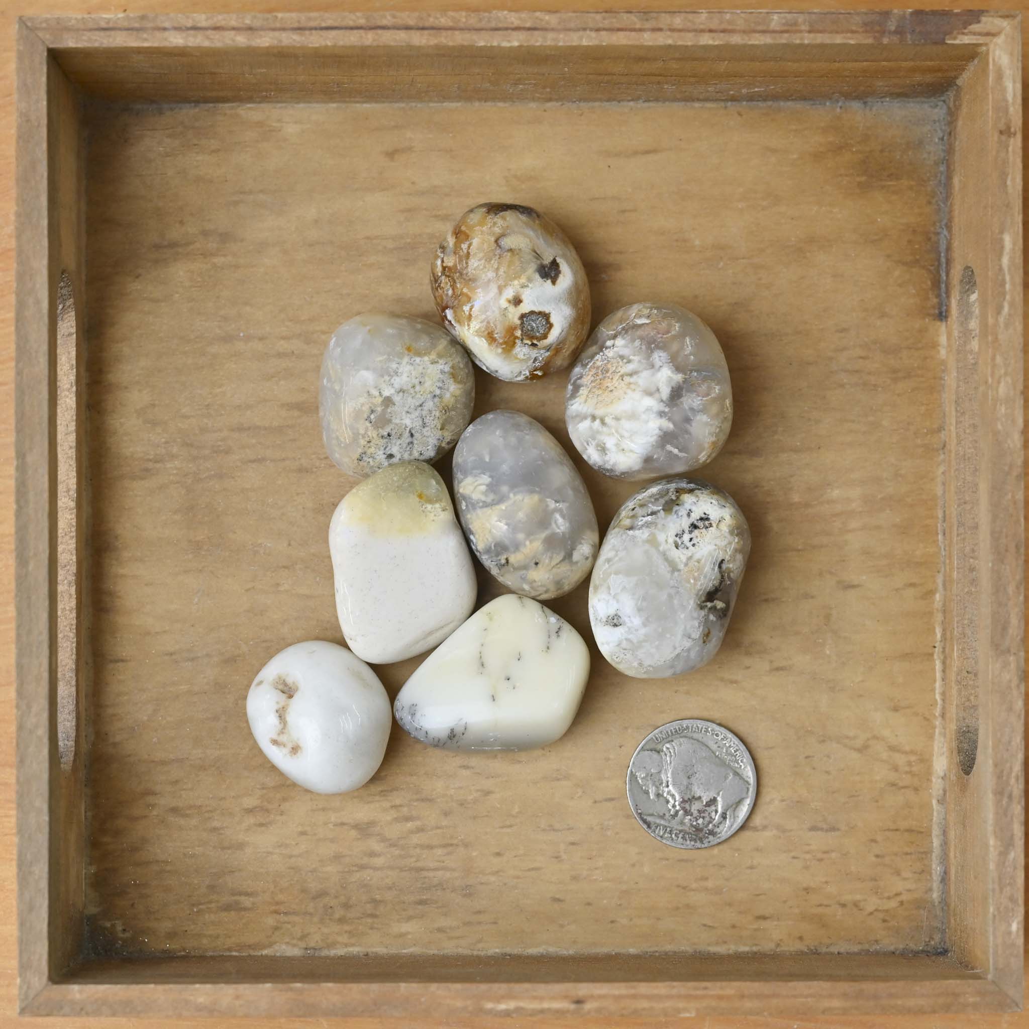 Tumbled Opal Dendrite (1 Stone)