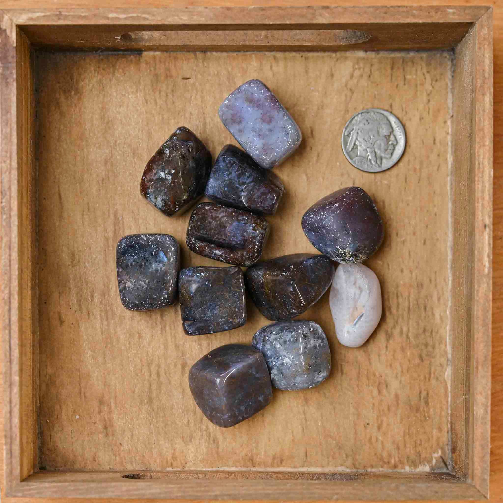 Tumbled Red Moss Agate (1 Stone)