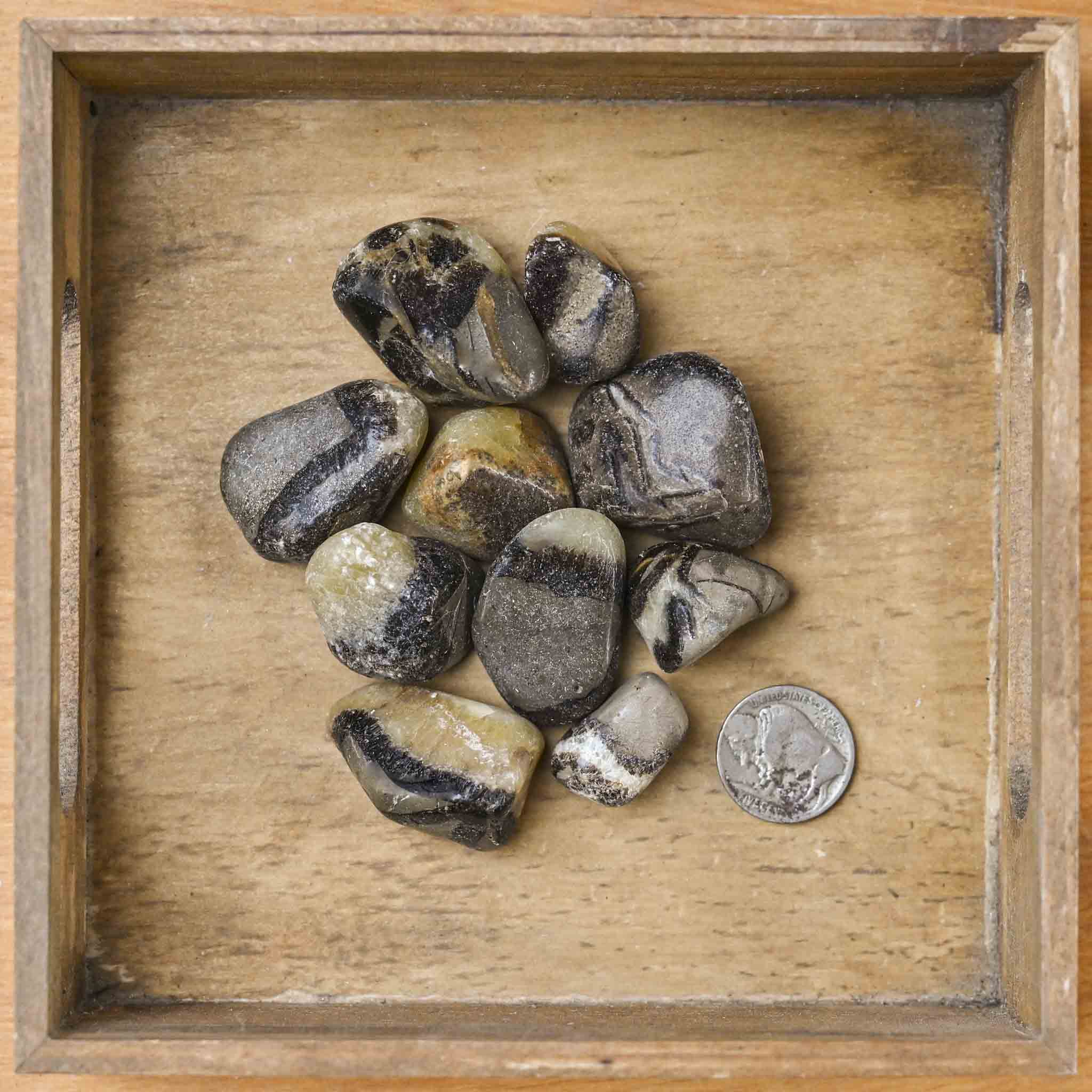 Tumbled Septarian (1 Stone)