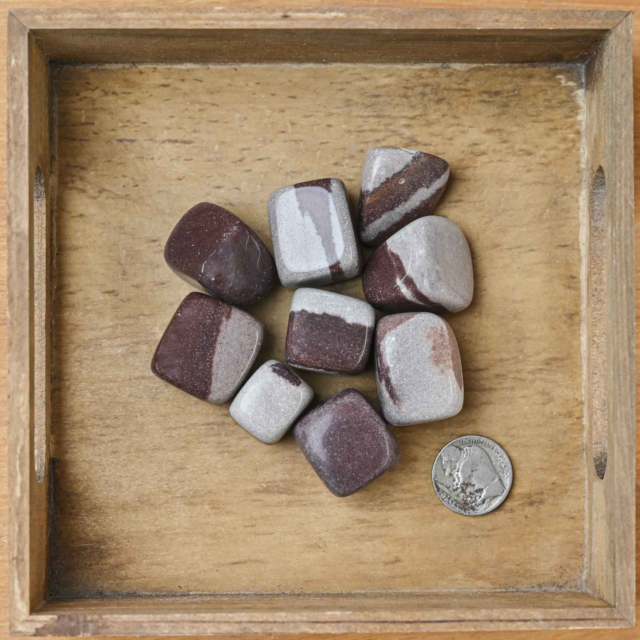 Tumbled Shiva Lingham (1 Stone)