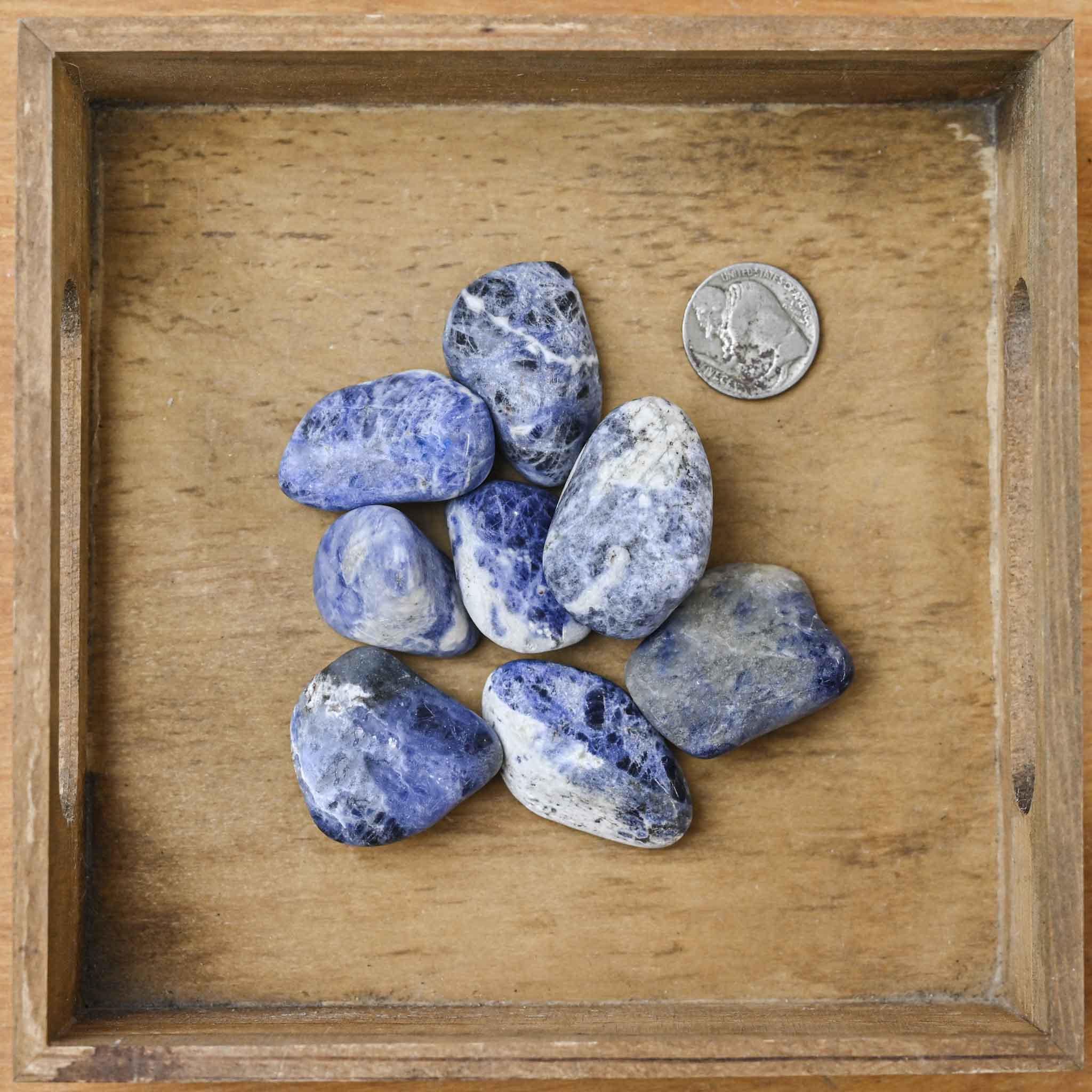 Tumbled Sodalite (1 Stone)