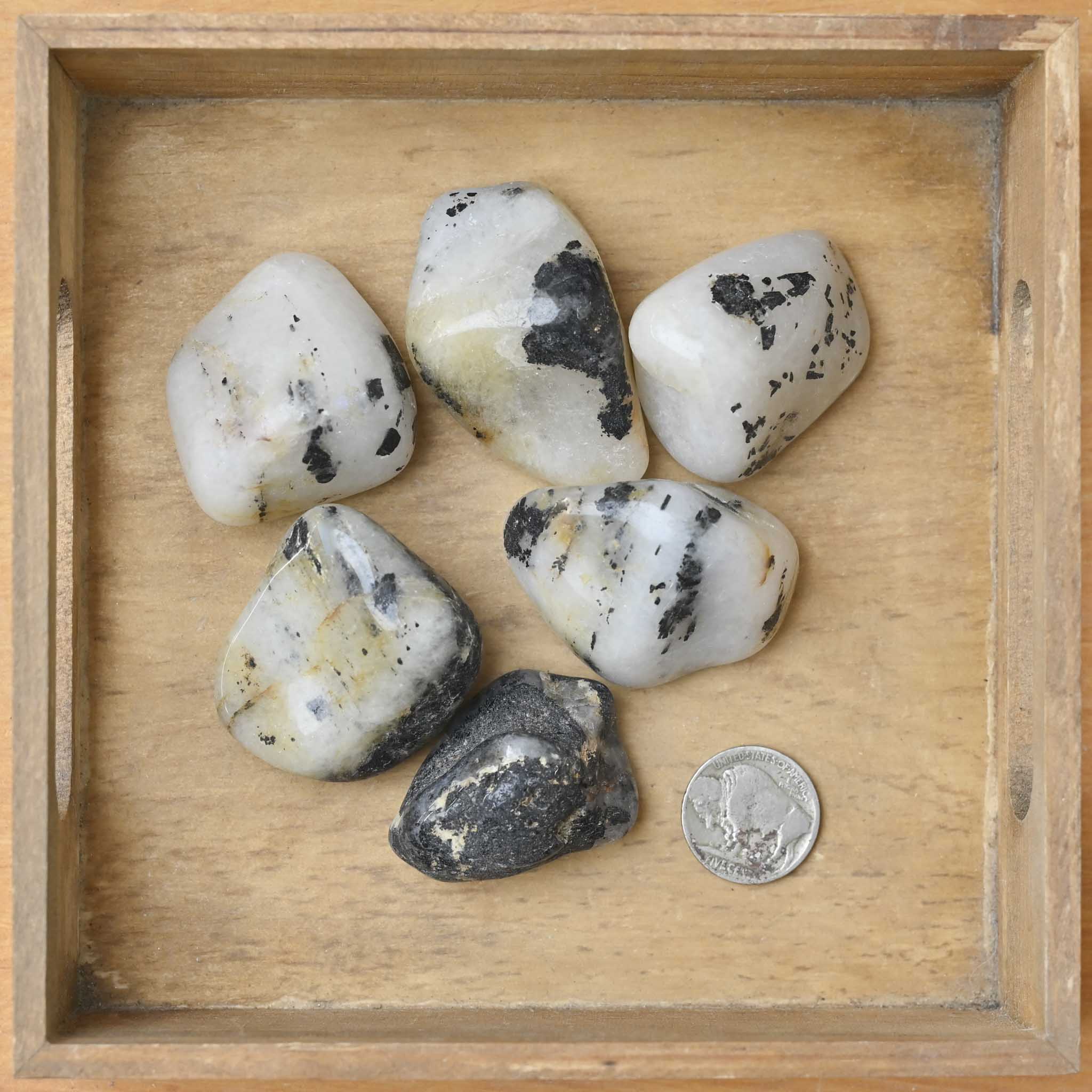 Tumbled Tourmalated Quartz (1 Stone)