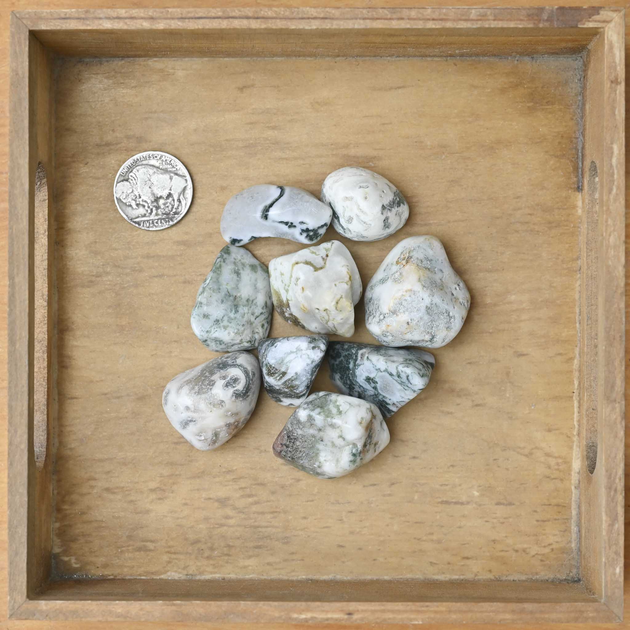 Tumbled Tree Agate (1 Stone)